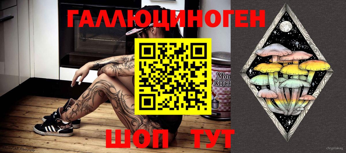 Псилоцибиновые грибы прущие грибы  Псилоцибиновые грибы мицелий  Вход с VPN  где купить наркоту  Малгобек 