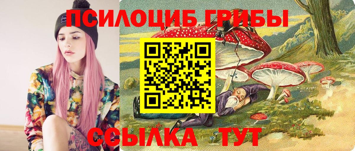 Галлюциногенные грибы GOLDEN TEACHER Малгобек